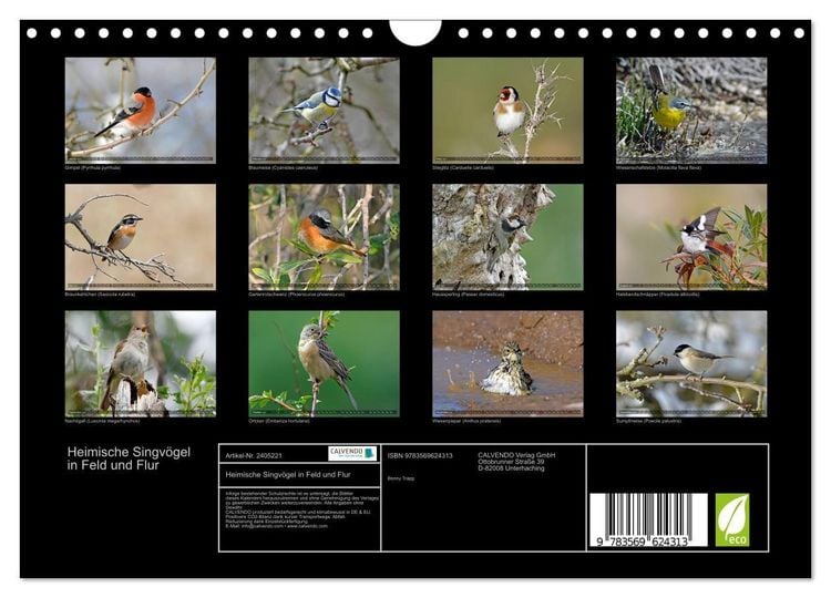 Produktbild: Heimische Singv&ouml;gel in Feld und Flur (Wandkalender 2027 DIN A4 quer), CALVENDO Monatskalender