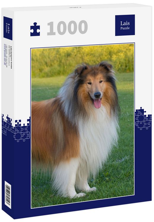 Produktbild: Lais Puzzle Collie 1000 Teile