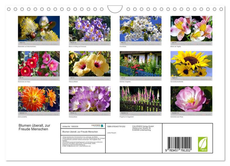 Produktbild: Blumen &uuml;berall, zur Freude Menschen (Wandkalender 2026 DIN A4 quer), CALVENDO Monatskalender