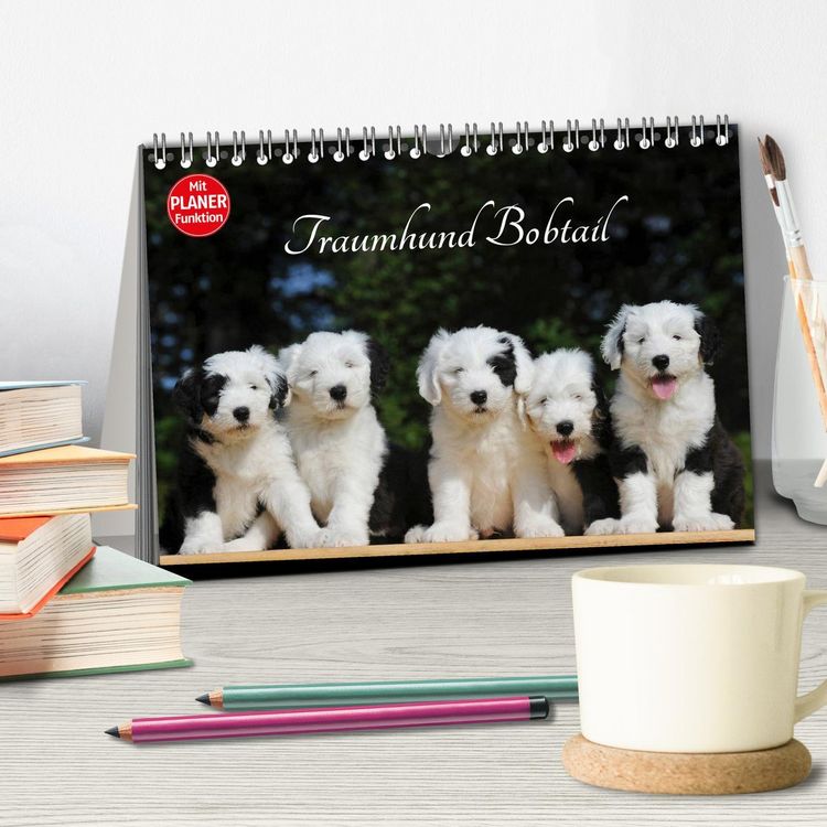 Produktbild: Traumhund Bobtail (Tischkalender 2026 DIN A5 quer), CALVENDO Monatskalender