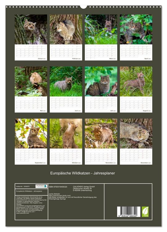 Produktbild: Europ&auml;ische Wildkatzen - Jahresplaner (hochwertiger Premium Wandkalender 2026 DIN A2 hoch), Kunstdruck in Hochglanz