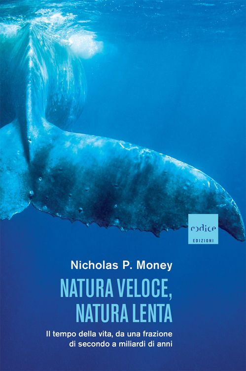 Produktbild: Natura veloce, natura lenta