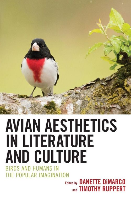 Produktbild: Avian Aesthetics in Literature and Culture