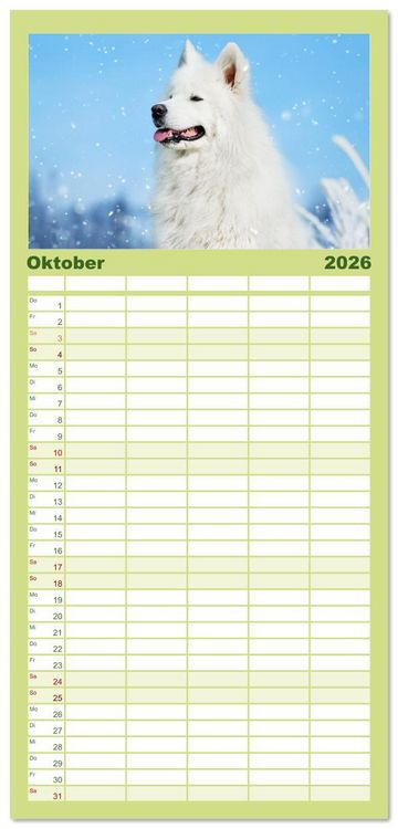 Produktbild: Familienplaner 2026 - Der Samojede - Sch&ouml;nheit des Nordens mit 5 Spalten (Wandkalender, 21 x 45 cm) CALVENDO