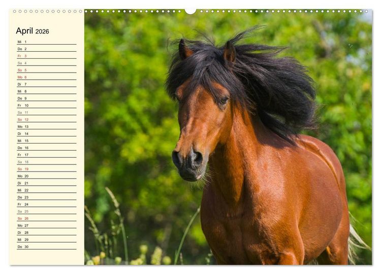 Produktbild: Welt der Pferde (Wandkalender 2026 DIN A2 quer), CALVENDO Monatskalender