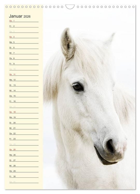 Produktbild: Islandpferde Geburtstagskalender (Wandkalender 2026 DIN A3 hoch), CALVENDO Monatskalender