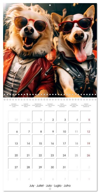 Produktbild: Jolly Selfies (Wall Calendar 2026 12 &times; 12 Inch) CALVENDO 12 Month Wall Calendar