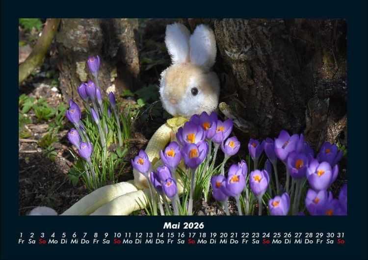 Produktbild: Blumentr&auml;ume 2026 Fotokalender DIN A4