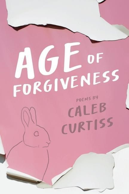 Produktbild: Age of Forgiveness