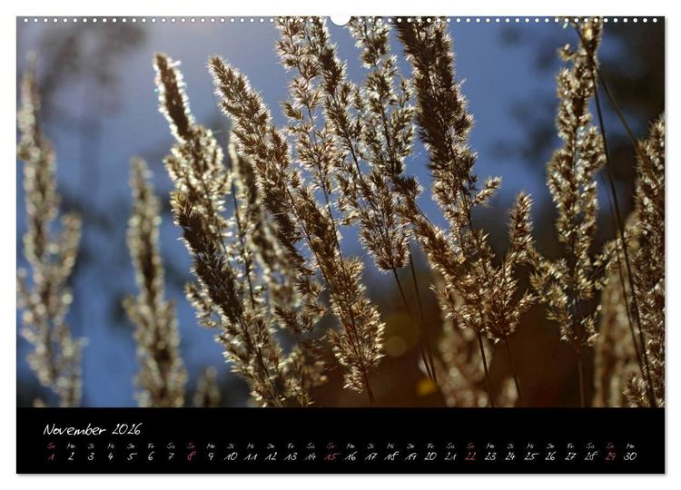 Produktbild: Zeit der Natur - Ein Augenblick zur Ewigkeit (hochwertiger Premium Wandkalender 2026 DIN A2 quer), Kunstdruck in Hochglanz