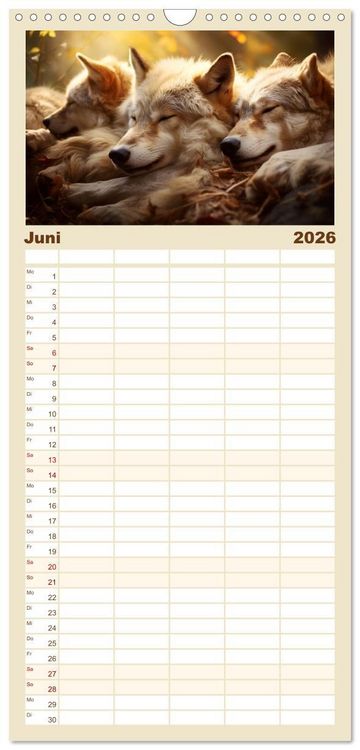 Produktbild: Familienplaner 2026 - Wenn sie schlafen... mit 5 Spalten (Wandkalender, 21 x 45 cm) CALVENDO