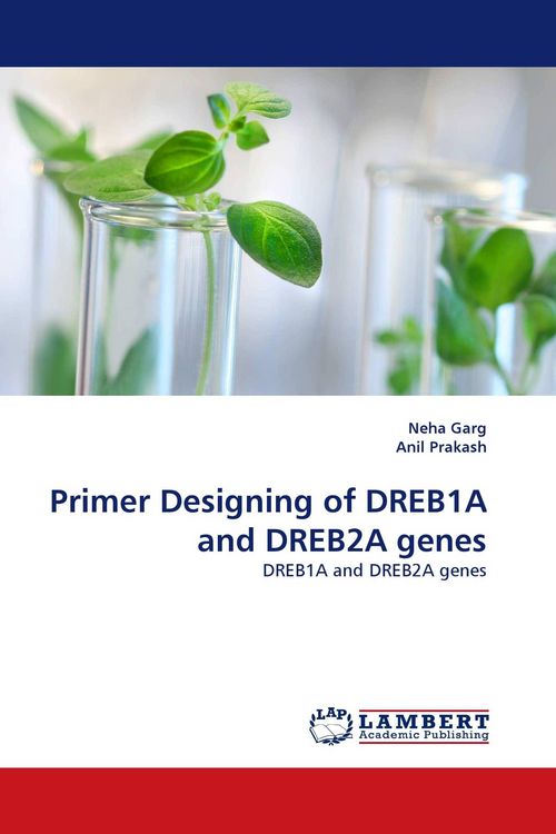 Produktbild: Primer Designing of DREB1A and DREB2A genes