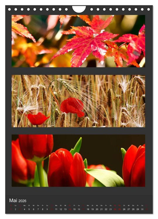 Produktbild: Naturfarben entdecken (Wandkalender 2026 DIN A4 hoch), CALVENDO Monatskalender