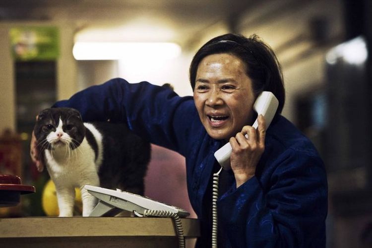 Produktbild: Tao Jie - Ein einfaches Leben