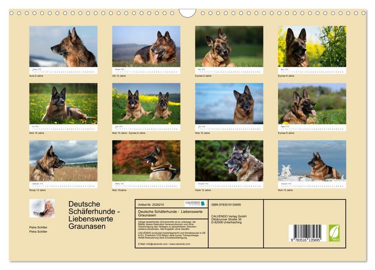 Produktbild: Deutsche Sch&auml;ferhunde - Liebenswerte Graunasen (Wandkalender 2026 DIN A3 quer), CALVENDO Monatskalender