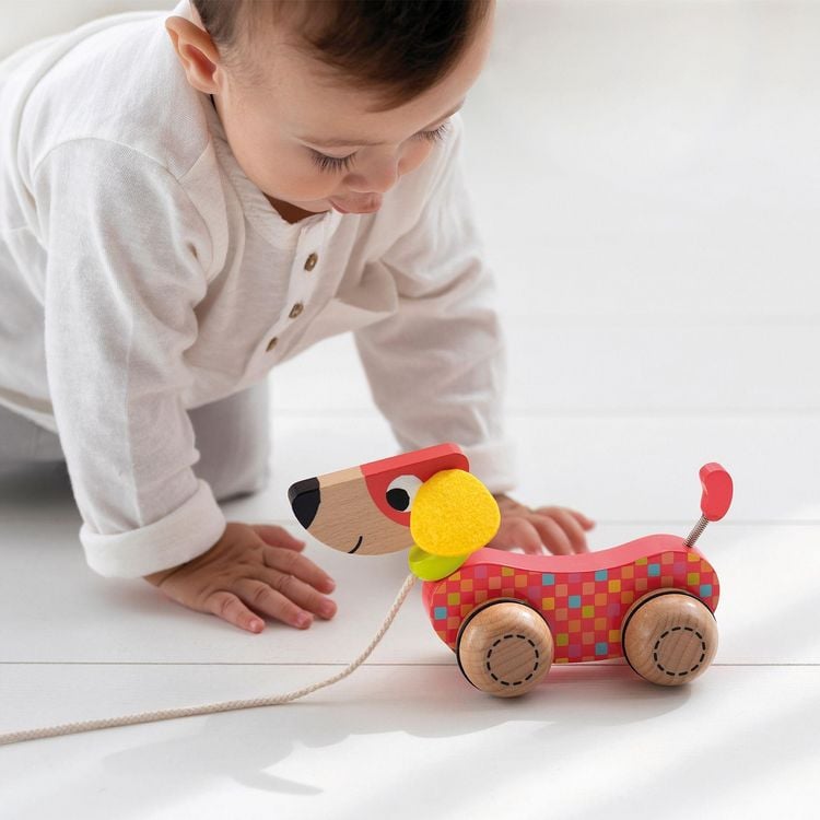 Produktbild: Goula - Nachzieh-Hund