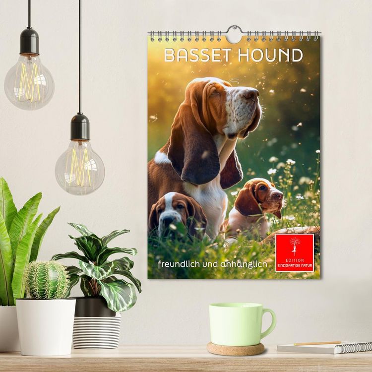 Produktbild: Basset Hound - freundlich und anh&auml;nglich (Wandkalender 2026 DIN A4 hoch), CALVENDO Monatskalender