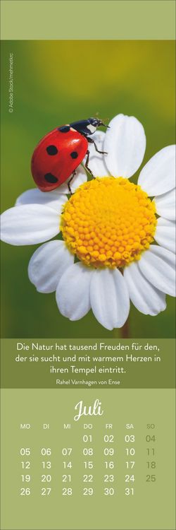 Produktbild: Tage voller Gl&uuml;ck Lesezeichen & Kalender 2027