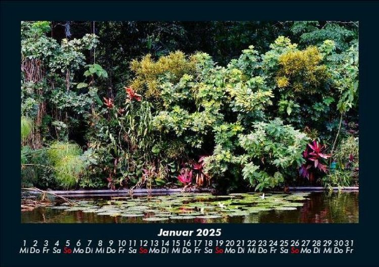 Produktbild: Natur Pur 2025 Fotokalender DIN A5