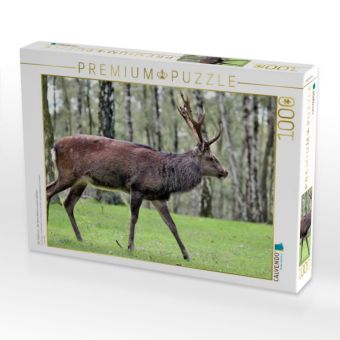 Produktbild: CALVENDO Puzzle Der Sikahirsch - Der kleine Asiat in unseren W&auml;ldern | 1000 Teile Lege-Gr&ouml;&szlig;e 64x48cm Foto-Puzzle f&uuml;r gl&uuml;ckliche Stunden