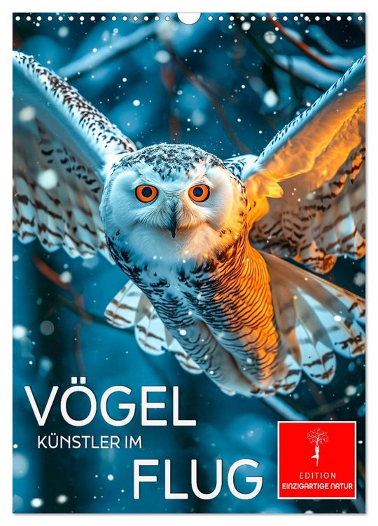 Produktbild: V&ouml;gel - K&uuml;nstler im Flug (Wandkalender 2026 DIN A3 hoch), CALVENDO Monatskalender