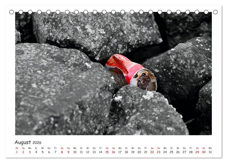 Produktbild: Gestrandet -Treibgut- (Tischkalender 2026 DIN A5 quer), CALVENDO Monatskalender