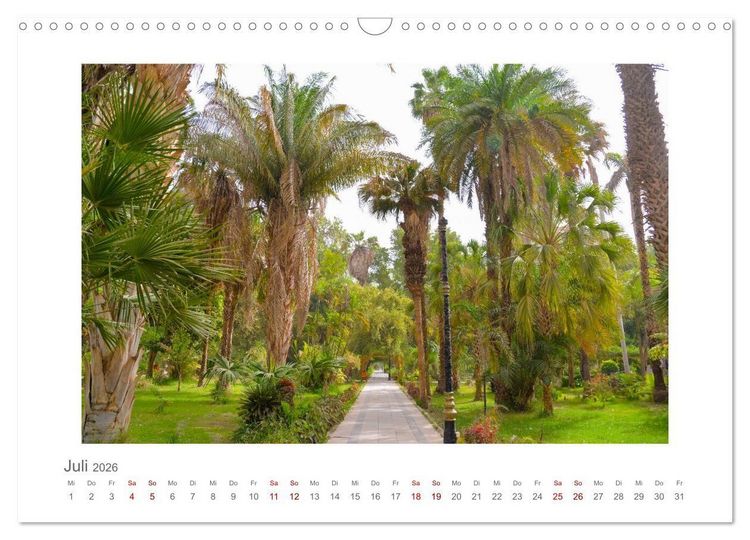 Produktbild: &Auml;gypten - unterwegs mit Julia Hahn (Wandkalender 2026 DIN A3 quer), CALVENDO Monatskalender