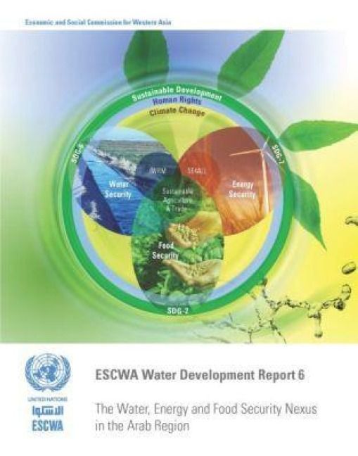 Produktbild: Escwa Water Development Report 6