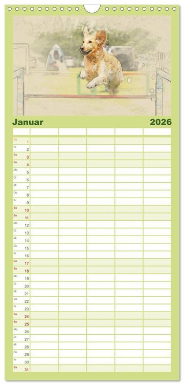Produktbild: Familienplaner 2026 - Golden Retriever mit 5 Spalten (Wandkalender, 21 x 45 cm) CALVENDO
