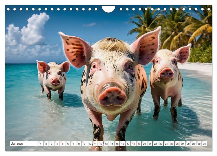 Produktbild: Schwimmende Schweine im Paradies (Wandkalender 2026 DIN A4 quer), CALVENDO Monatskalender
