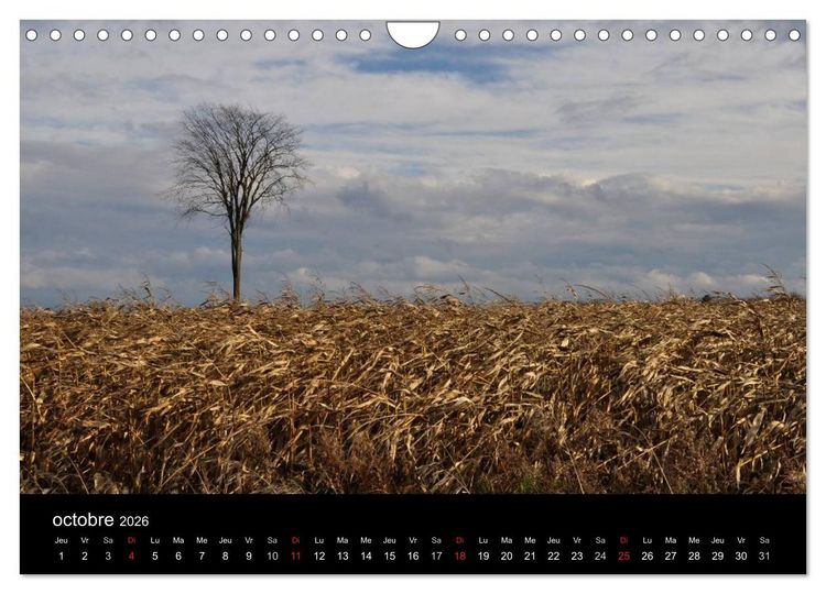Produktbild: Regard sur les saisons du Qu&eacute;bec (Calendrier mural 2026 DIN A4 vertical), CALVENDO calendrier mensuel