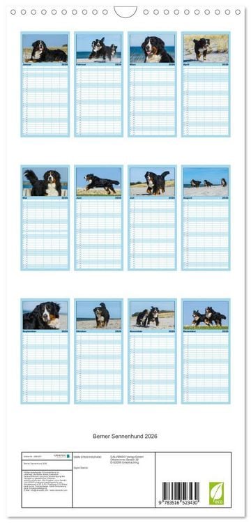 Produktbild: Familienplaner 2026 - Berner Sennenhund 2026 mit 5 Spalten (Wandkalender, 21 x 45 cm) CALVENDO