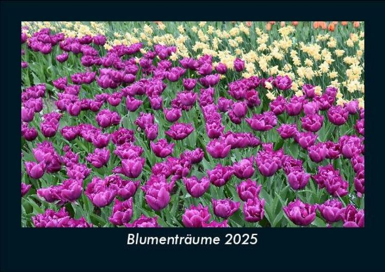Produktbild: Blumentr&auml;ume 2025 Fotokalender DIN A5