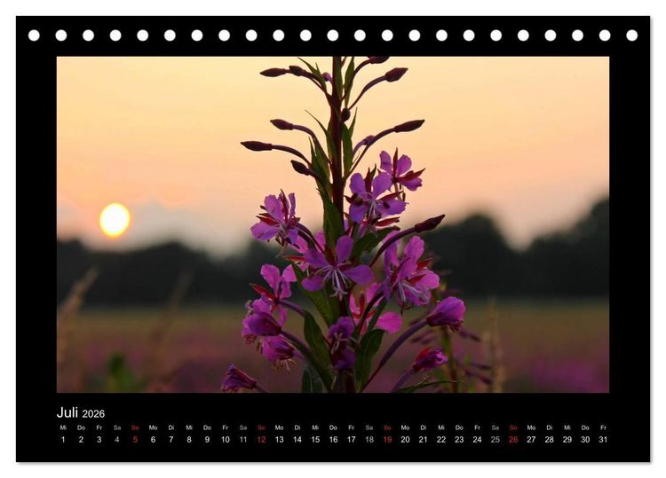 Produktbild: Landschaft Teufelsmoor / 2026 (Tischkalender 2026 DIN A5 quer), CALVENDO Monatskalender