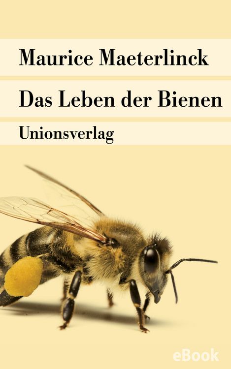 Produktbild: Das Leben der Bienen