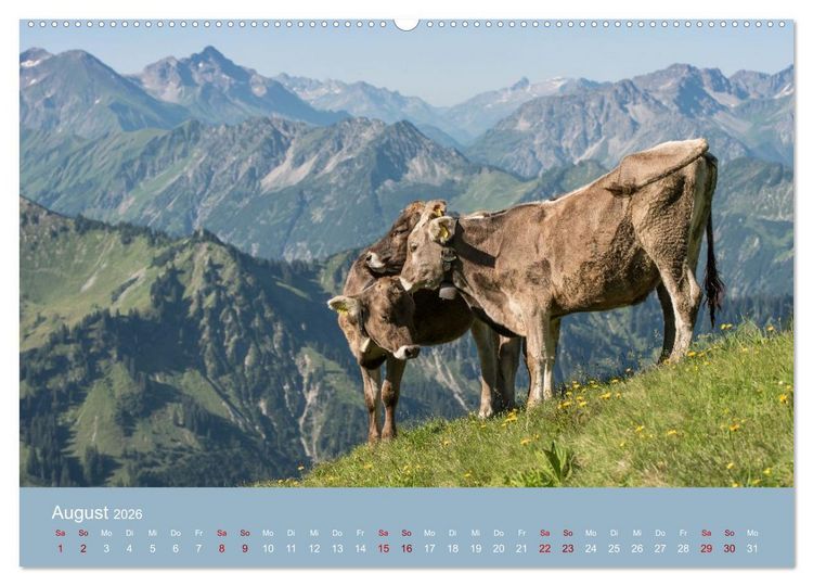 Produktbild: Heimweh Allg&auml;u 2026 (hochwertiger Premium Wandkalender 2026 DIN A2 quer), Kunstdruck in Hochglanz