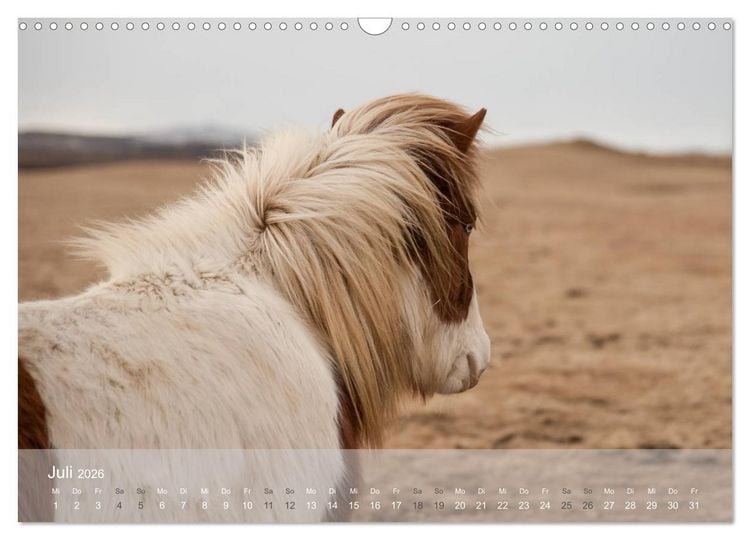 Produktbild: Islandpferde - Stolz und Stark durch Sommer und Winter (Wandkalender 2026 DIN A3 quer), CALVENDO Monatskalender