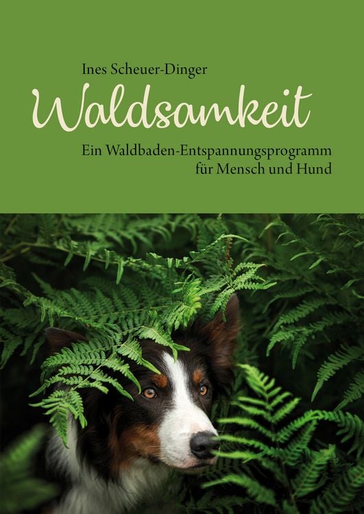 Produktbild: Waldsamkeit