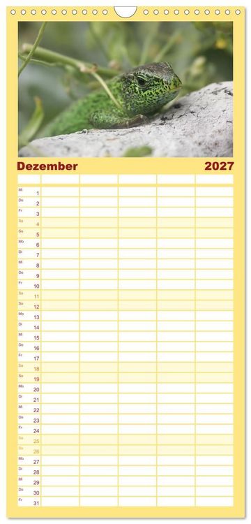 Produktbild: Familienplaner 2027 - Minisaurier im Garten mit 5 Spalten (Wandkalender, 21 x 45 cm) CALVENDO