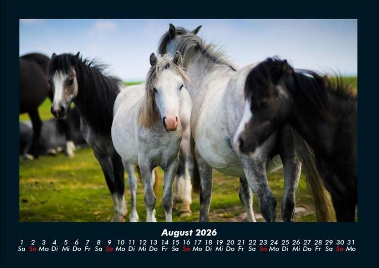 Produktbild: Pferdegefl&uuml;ster 2026 Fotokalender DIN A4