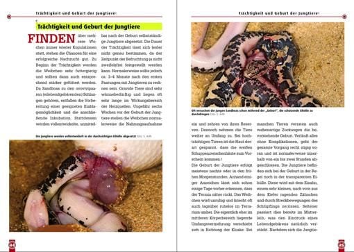 Produktbild: Die Ostafrikanische Sandboa