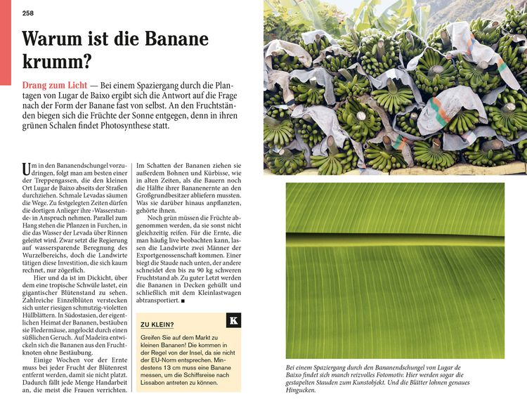 Produktbild: DuMont Reise-Taschenbuch Madeira