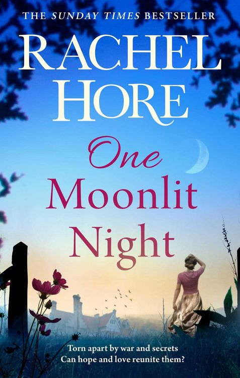 Produktbild: One Moonlit Night