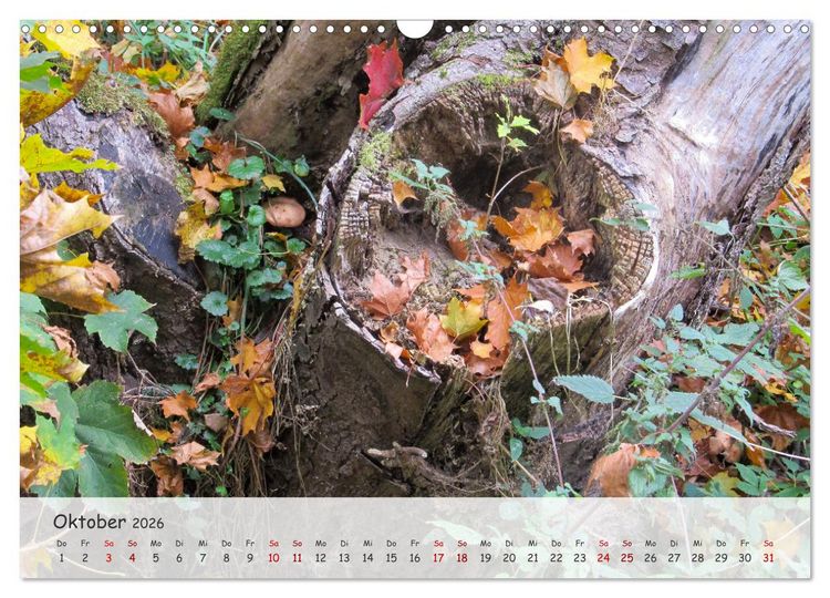 Produktbild: Vier Jahreszeiten - Eine Welt (Wandkalender 2026 DIN A3 quer), CALVENDO Monatskalender