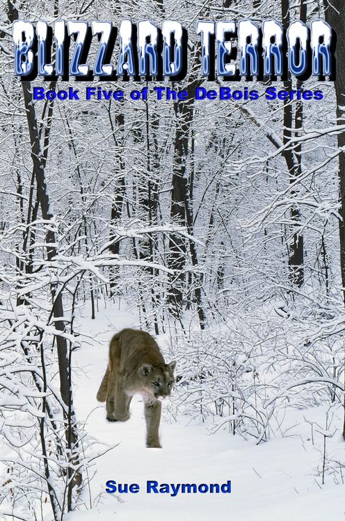 Produktbild: Blizzard Terror (The DeBois Series, #5)
