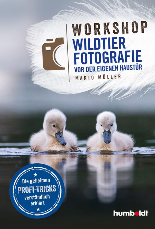 Produktbild: Workshop Wildtierfotografie vor der eigenen Haust&uuml;r