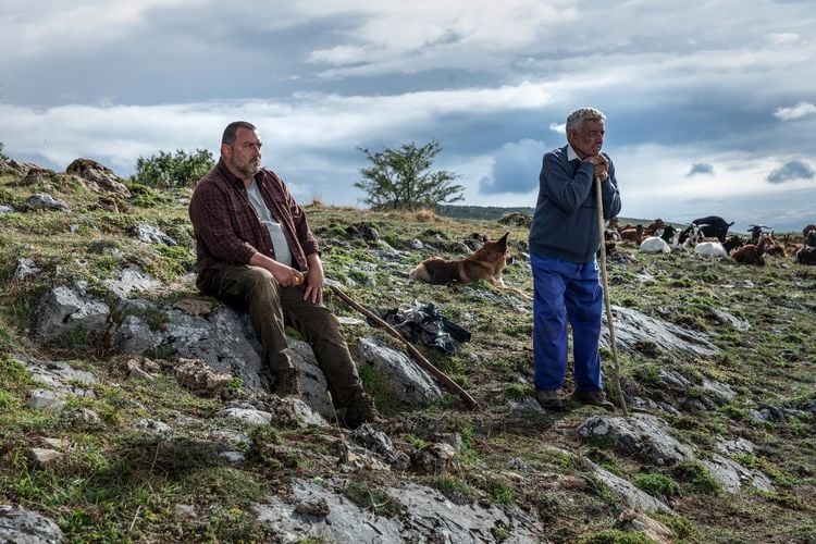 Produktbild: Wie wilde Tiere (Blu-ray)