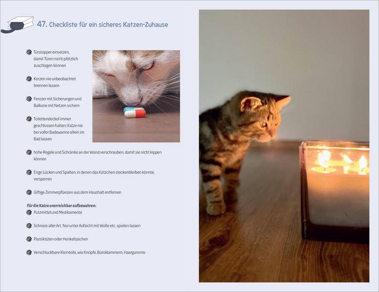 Produktbild: 101 Dinge, die man wissen muss, wenn ein Katzenbaby einzieht
