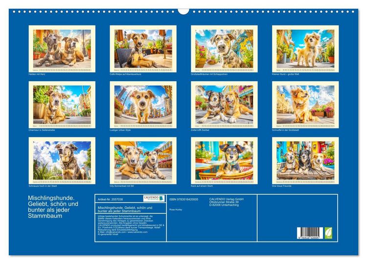 Produktbild: Mischlingshunde. Geliebt, sch&ouml;n und bunter als jeder Stammbaum (Wandkalender 2026 DIN A2 quer), CALVENDO Monatskalender