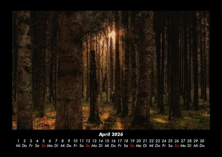 Produktbild: Waldzauber 2026 Fotokalender DIN A3
